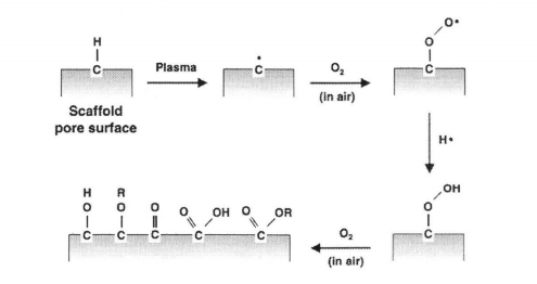 氧等離子體在與材料表面接觸時(shí)羥基化、羧基化的示意圖