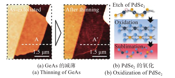 二維材料的等離子刻蝕與改性