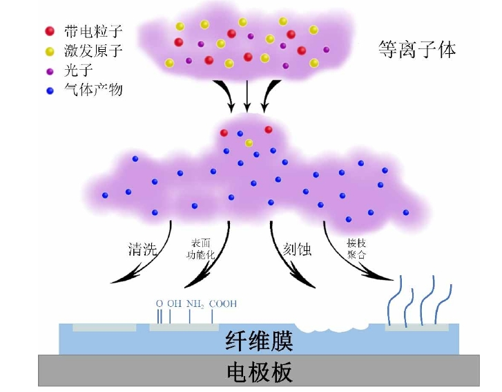 等離子體改性聚丙烯纖維膜作用機制示意圖