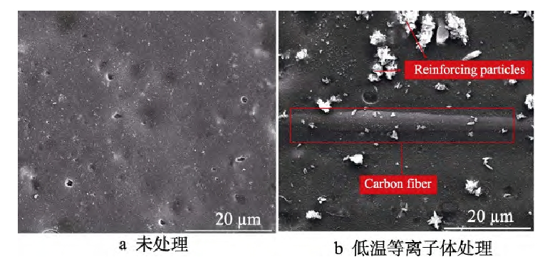 低溫等離子體處理前后復(fù)合材料表面 SEM圖(a)未處理(b)